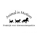 Cover Image of Download Animal in Motion 1.3 APK