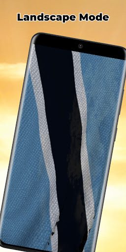 Botswana Flag Live Wallpaper Screen 3