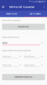 MP4 to GIF Converter Online: Convert MP4 to GIF in Seconds for Free