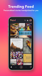 Aperçu de l'application