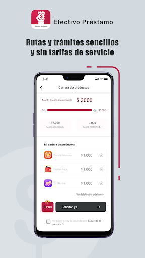 Efectivo Préstamo-Cash Online Screen 3