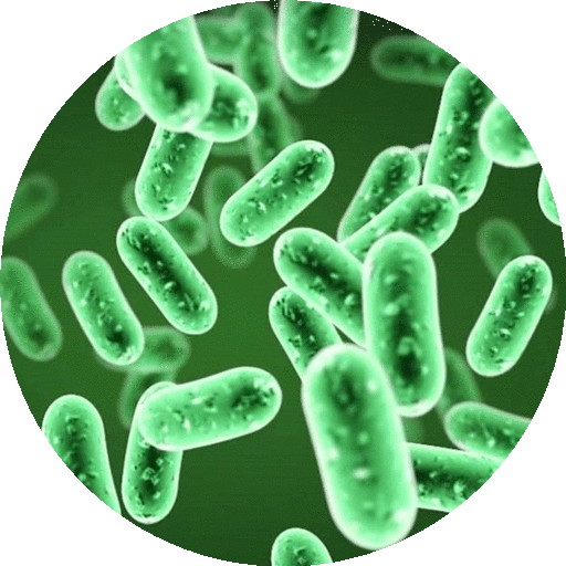 Microbiology Handbook logo