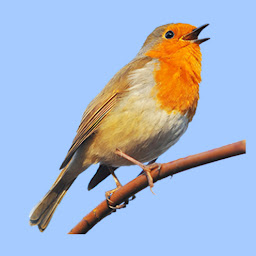Icon image European Birds Songs & Calls