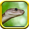 Snake Simulator Rampge icon