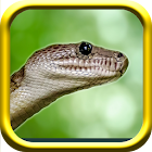Snake Simulator Rampge 5