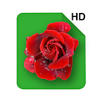 Cover Image of Download HD Rose Flowers Live Wallpaper  APK