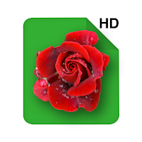 HD Rose Flowers Live Wallpaper