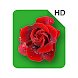 HD Rose Flowers Live Wallpaper
