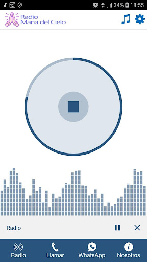 RADIO MANA DEL CIELO Screen 2