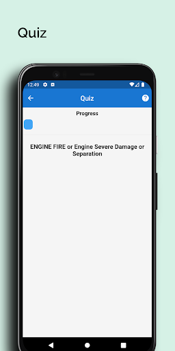 Pocket 737 Screen 3