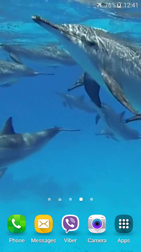 Dolphins +Sound Live Wallpaper Screen 2