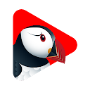 Puffin TV Player