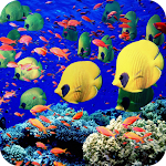 Cover Image of ดาวน์โหลด Coral Wallpaper  APK
