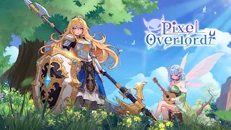 Game screenshot Pixel Overlord: 4096 Draws mod apk