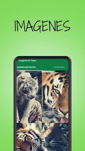Android application Imagenes De Tigres screenshort