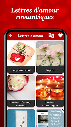 Aperçu de l'application