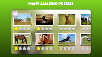 Game screenshot Horse and Pony jigsaw puzzles hack