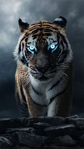Tiger Wallpaper 4K