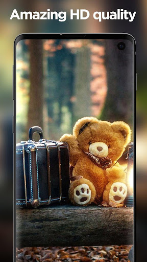 Cute Teddy Bear HD Wallpaper ?