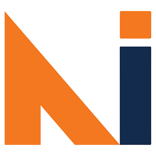 Nemi Insights logo