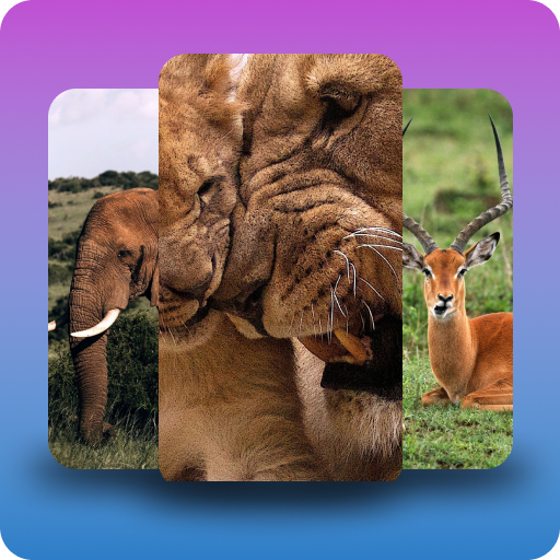 Wild Africa animals themes logo