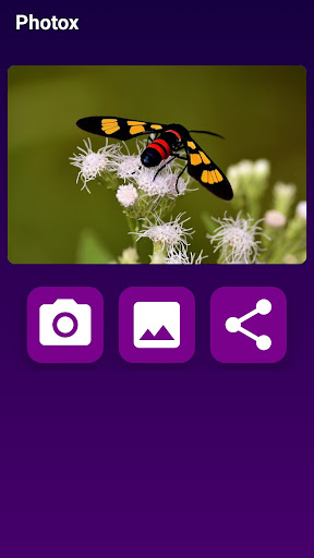 Photox Screenshot 2 - AppWisp.com