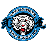 YIT - Yong-In Tiger Taekwondo icon