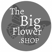 Big Flower Shop