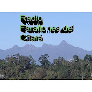 Radio Farallones  Icon