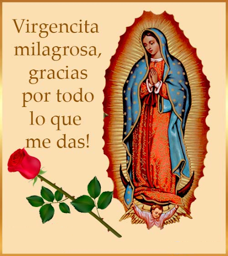 Virgen de Guadalupe Frases Screen 2