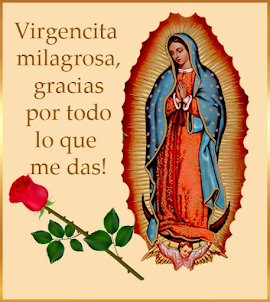 Virgen de Guadalupe Frases