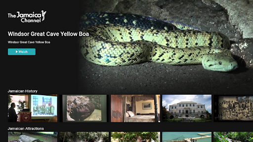 Android application The Jamaica Channel screenshort