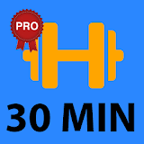 30 Minute Dumbbell Workout PRO icon