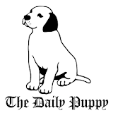 The Daily Puppy icon