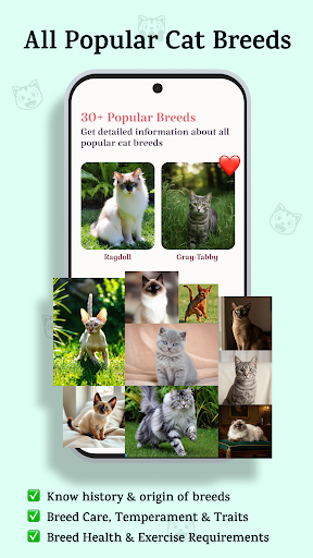 Catsy AI Cat Breed Identifier