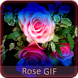 Rose GIF Collection icon
