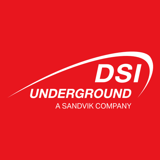 DSI Underground logo