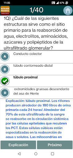 Preguntas sobre Histología Screen 3