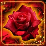 Cover Image of ดาวน์โหลด Roses Red Wallpaper  APK