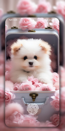 Cute Dog & Puppy Wallpaper 4K Screenshot 1 - AppWisp.com