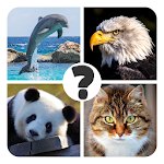 Cover Image of Download Animals quiz - guess animal  APK