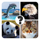 Animals quiz game: guess the animal on the picture