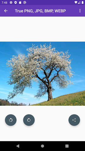 True PNG, JPG, BMP, WEBP Screen 2