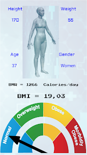 BMR / BMI  Calculator Screenshot