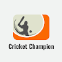 Cricket Champion
