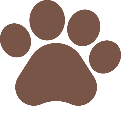 The Cat App logo