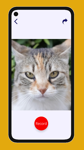 My Animated Pet: talking cat Screen 3
