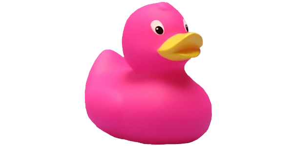 Pink duck toy sale