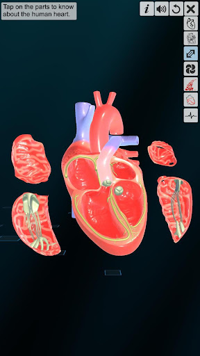 Heart - An incredible pump Screen 3
