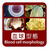 血球型態 icon